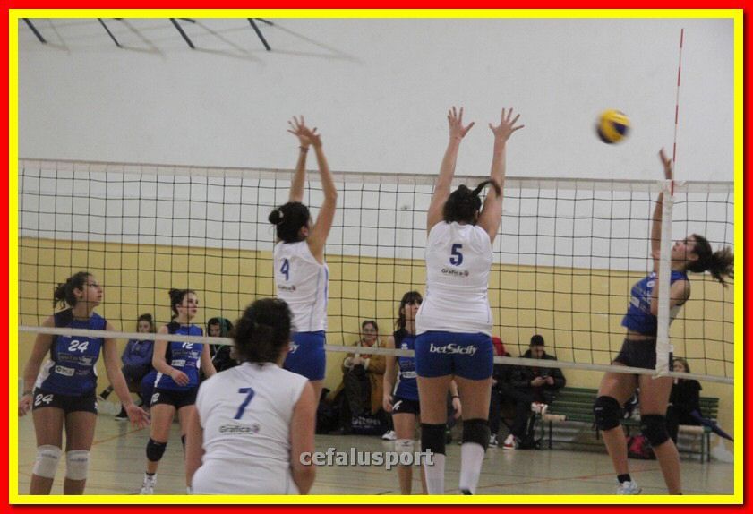 140305 Primula 120_tn.jpg